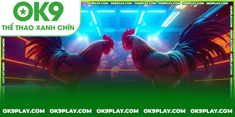 Một số cách chọn gà đá chuẩn